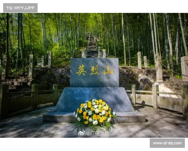 加蓬足协举行悼念空难遇难者十周年仪式并揭幕纪念碑 加蓬足协举行悼念空难遇难者十周年仪式并揭幕纪念碑